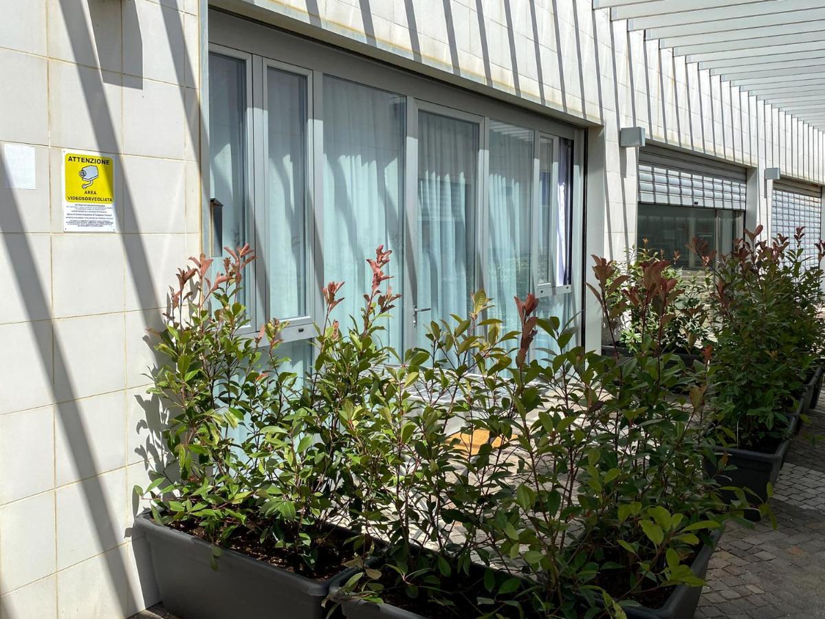 Appartamento A 30 Mt Dal Mare Cecina  Eksteriør billede